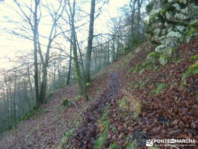 Parques Naturales Urbasa-Andía y Aralar - Nacedero del Urederra; excursiones y senderismo; senderis